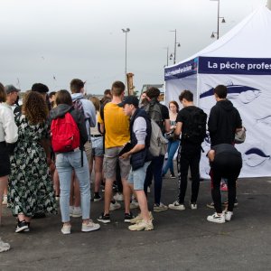 Barnum Pêche professionnelle en Occitanie 