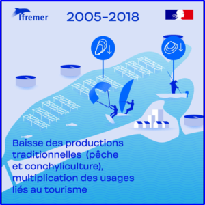 Evolution de la lagune de Thau de 1970 à 2018 : infographie animée - RETROSCOPE