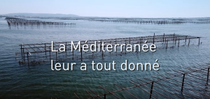 Film "huîtres et moules de Méditerranée" - version courte