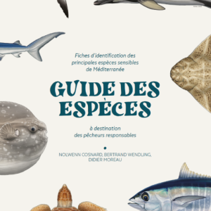 Guide des espèces à destination des pêcheurs responsables